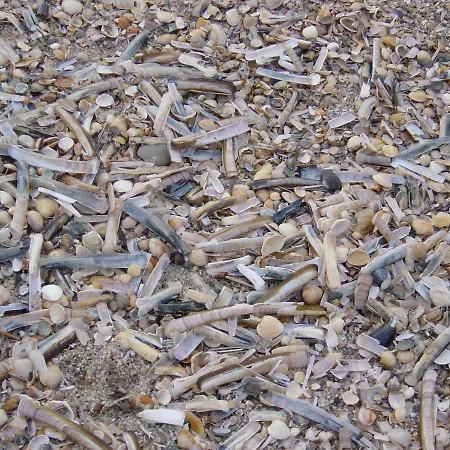 Haus Nordseeresidenz 41 Βέστερλαντ